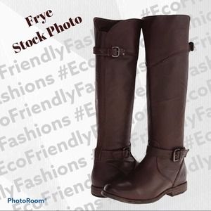 FRYE Women's Phillip Tall Riding Boot Brown